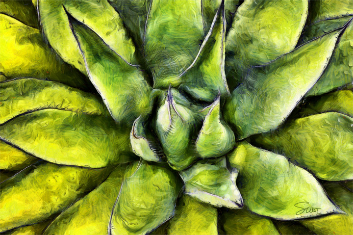 agave star by scott west art