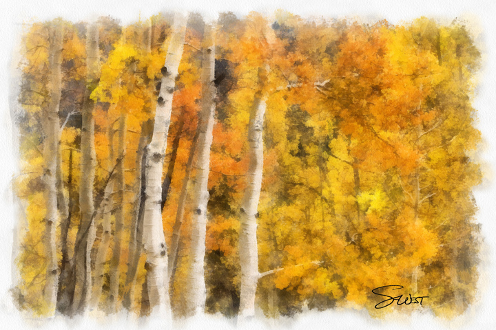 forest of fall color by scott west art