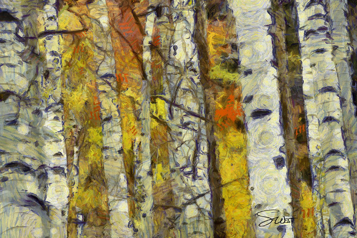 impressions of a fall aspen grove by scott west art